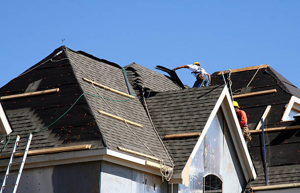 Best Roof Moss and Algae Removal  in Gowanda, NY